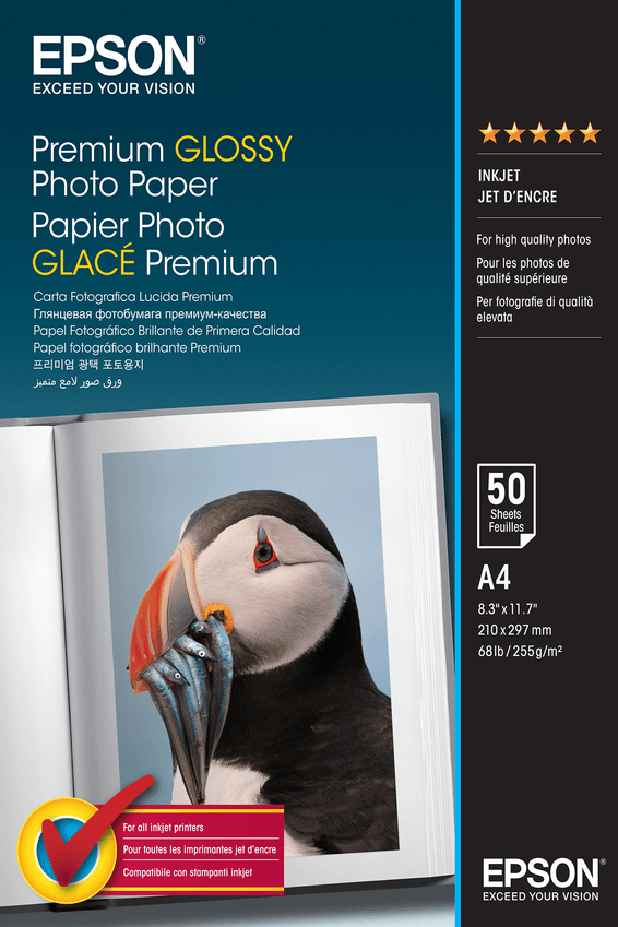Epson Premium Glossy Photo Paper - Papier photo glacé A4 - 50 Feuilles (C13S041624)