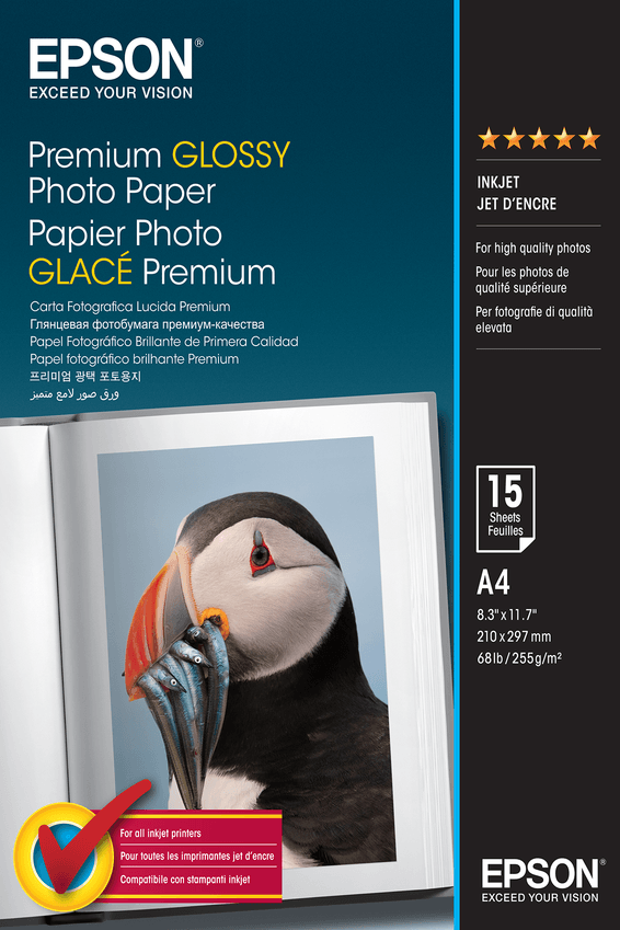 Epson Premium Glossy Photo Paper A4 – Papier photo brillant premium (C13S042155)
