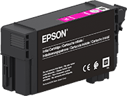 Epson Singlepack UltraChrome XD2 Magenta T40C340 – Cartouche d'encre magenta (C13T40C34N)