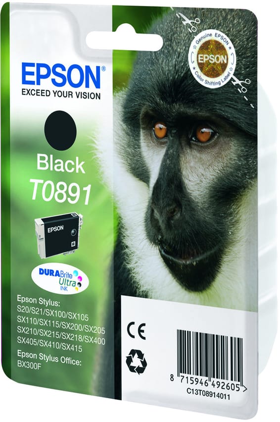 Epson T0891 – Encre noire DURABrite Ultra (C13T08914011)