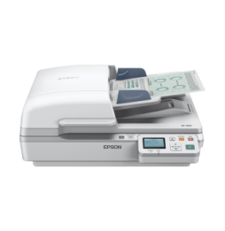 Epson WorkForce DS-6500N – Scanner A4 à connectivité réseau (B11B205231BS)