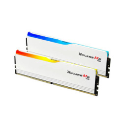 G.Skill Ripjaws M5 RGB 64 Go (2 x 32 Go) DDR5 6000 MHz CL28 - Blanc