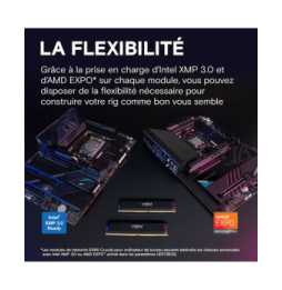 Crucial Pro DDR5 Overclocking 16 Go 6000 MHz CL36