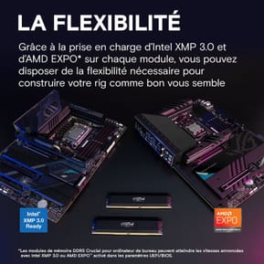 Crucial Pro DDR5 Overclocking 16 Go 6000 MHz CL36 — image 3