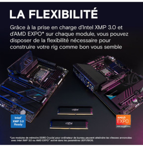 Crucial Pro DDR5 Overclocking 16 Go 6000 MHz CL36