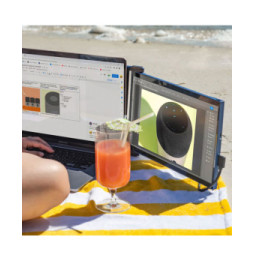 Mobile Pixels 14.1" LED Duex Max