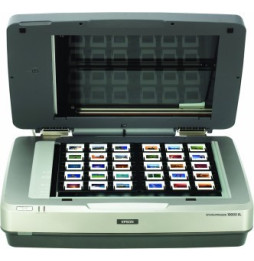 Scanner Epson Expression 10000XL Pro