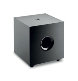 Focal Cub Evo