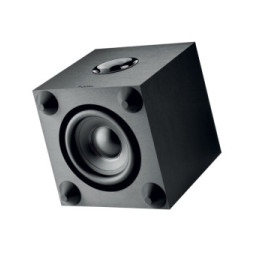 Focal Cub Evo