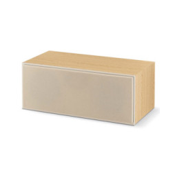 Focal Theva Center Light Wood
