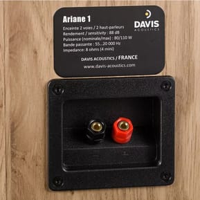 Davis Acoustics Ariane 1 Chêne clair — image 5