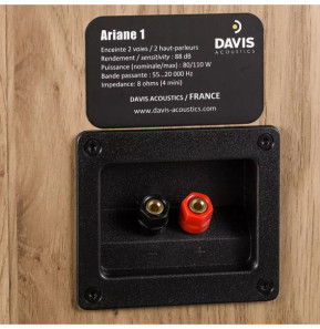 Davis Acoustics Ariane 1 Chêne clair