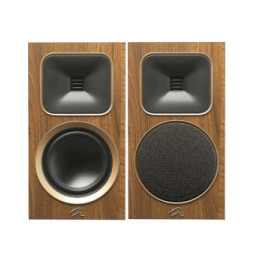 MartinLogan Motion Foundation B1 Noyer