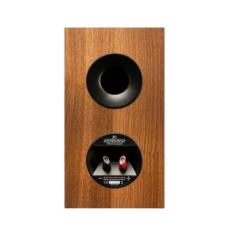 MartinLogan Motion Foundation B1 Noyer