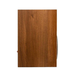 MartinLogan Motion Foundation B1 Noyer