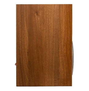 MartinLogan Motion Foundation B1 Noyer