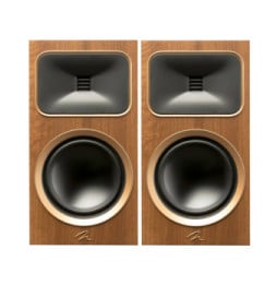 MartinLogan Motion Foundation B2 Noyer