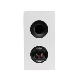 MartinLogan Motion Foundation B1 Blanc