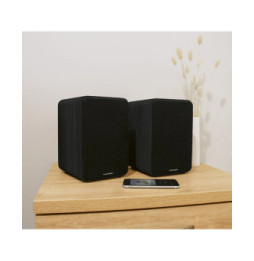 Thomson WS600DUO - Enceinte Bibliothèque Stéréo Bois Noir avec Télécommande