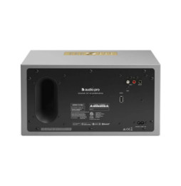 Audio Pro C10 MKII Gris