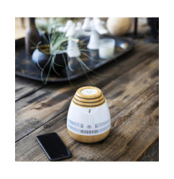 AROMASOUND Enceinte Audio Symphoney Lumineuse avec Diffuseur d'Huiles Essentielles Blanc