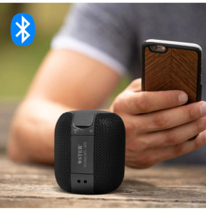 Avizar Mini Enceinte Bluetooth Radio FM et Slot Micro-SD Portable avec Dragonne noir