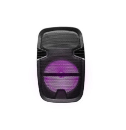 Blaupunkt - Enceinte 15W LED avec trépied - BLP3975-133 - Noir