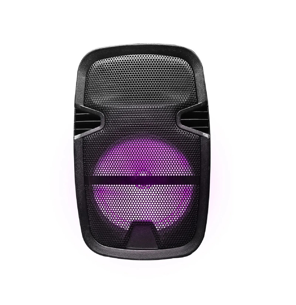Blaupunkt - Enceinte 15W LED avec trépied - BLP3975-133 - Noir