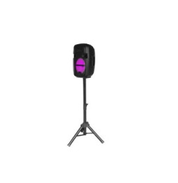 Blaupunkt - Enceinte 15W LED avec trépied - BLP3975-133 - Noir