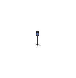 Blaupunkt Enceinte avec Trépieds BLP3923-001-133
