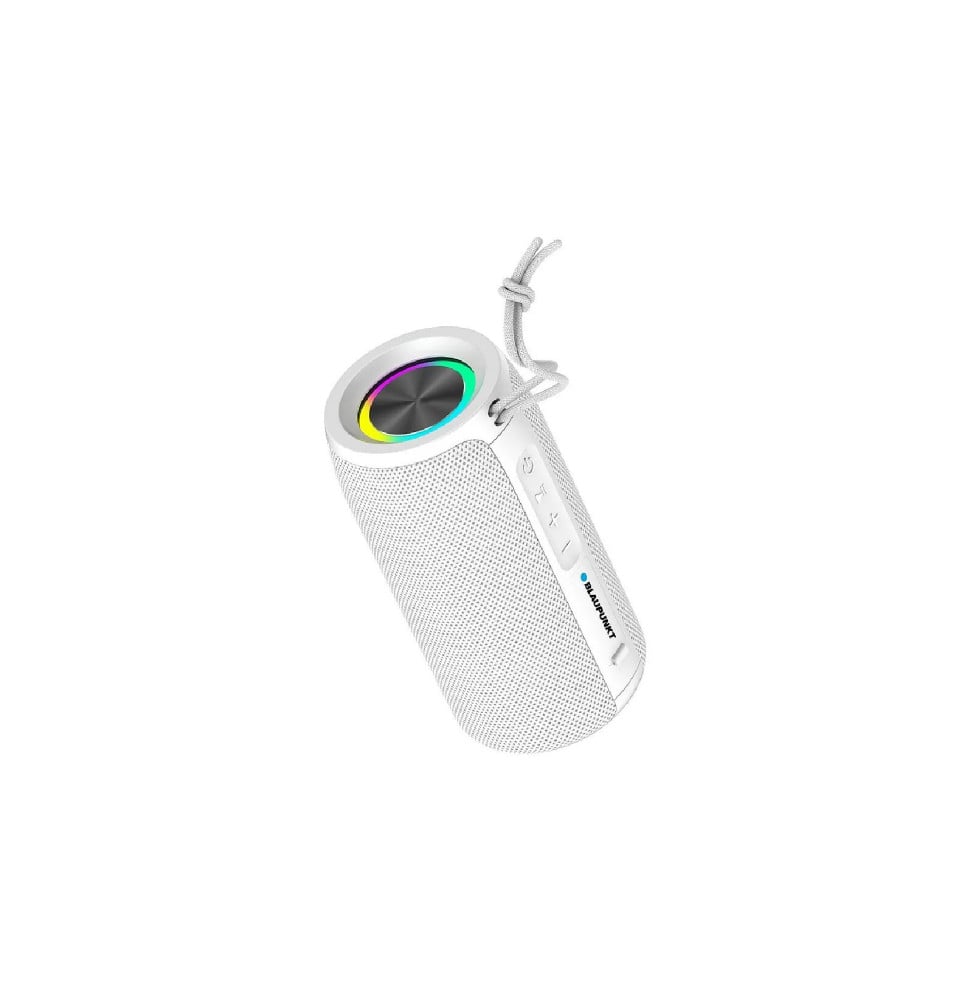 Enceinte LED 10W BLP3935-112