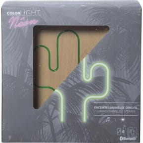 Color Block Enceinte Bluetooth 15W Lumineuse Modèle Néon S Cactus ColorLight Vert — image 2