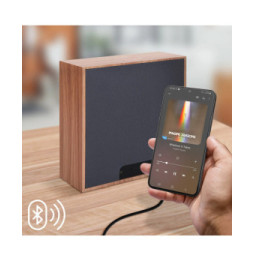 Color Block Enceinte Bluetooth 15W Néon Lumineuse L avec Charge Induction Cactus ColorLight Vert
