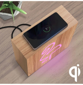 Color Block Enceinte Bluetooth Néon Lumineuse L Charge Induction Flamingo ColorLight Rose