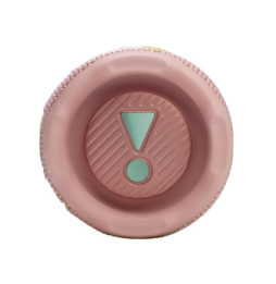 JBL Flip 7 Rose