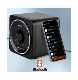 LinQ Enceinte PC Bluetooth avec Prise Jack 3.5mm + USB - Port Micro SD Noir