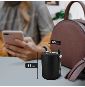 LinQ Enceinte Sans-fil Bluetooth LED Multicolore Radio FM Port USB micro SD Noir