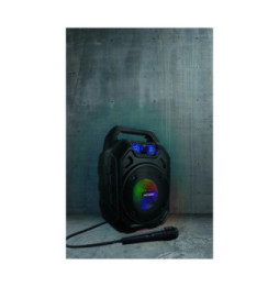 Metronic 477188 - Enceinte Mini High Power avec micro - noire