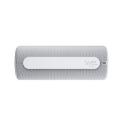 Loewe We. HEAR 1 Cool Grey