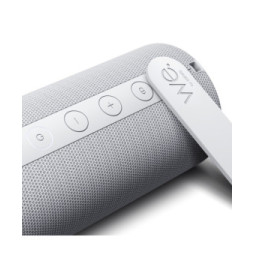 Loewe We. HEAR 1 Cool Grey