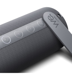 Loewe We. HEAR 1 Storm Grey