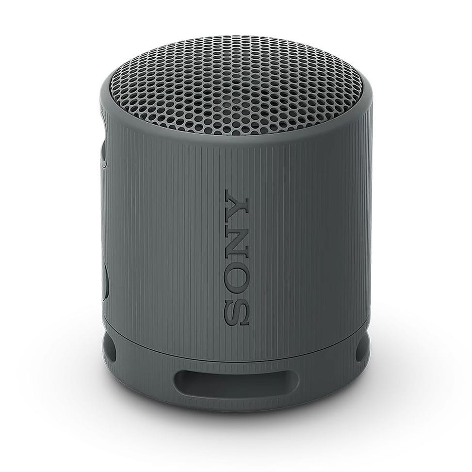 Sony SRS-XB100 Noir — image 1