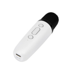 PARTY Enceinte Bluetooth 5.1 avec 2 Micro karaoké Sans Fil Modèle Party Btmic 15W Blanc