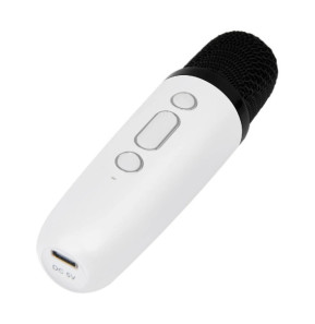 PARTY Enceinte Bluetooth 5.1 avec 2 Micro karaoké Sans Fil Modèle Party Btmic 15W Blanc