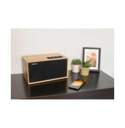 Thomson WS502 - Enceinte Bluetooth résidentielle - Bluetooth 5.0 - 100W - Façade amovible - Bois