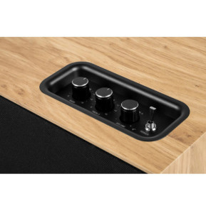 Thomson WS502 - Enceinte Bluetooth résidentielle - Bluetooth 5.0 - 100W - Façade amovible - Bois