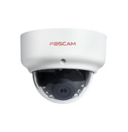 Foscam - D2EP - Camera IP dôme anti-vandalisme IR 20m - 1080p
