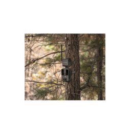 SPYPOINT TrailCam CELL CELL-LINK - GRIS - SP680602