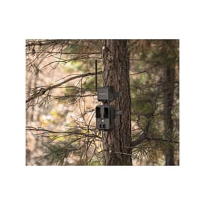 SPYPOINT TrailCam CELL CELL-LINK - GRIS - SP680602 — image 4