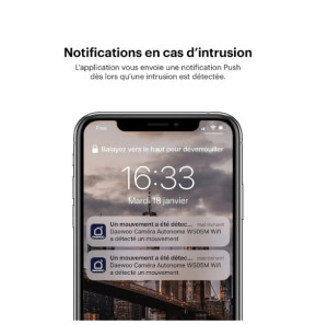 DAEWOO Pack 2 caméras IP501